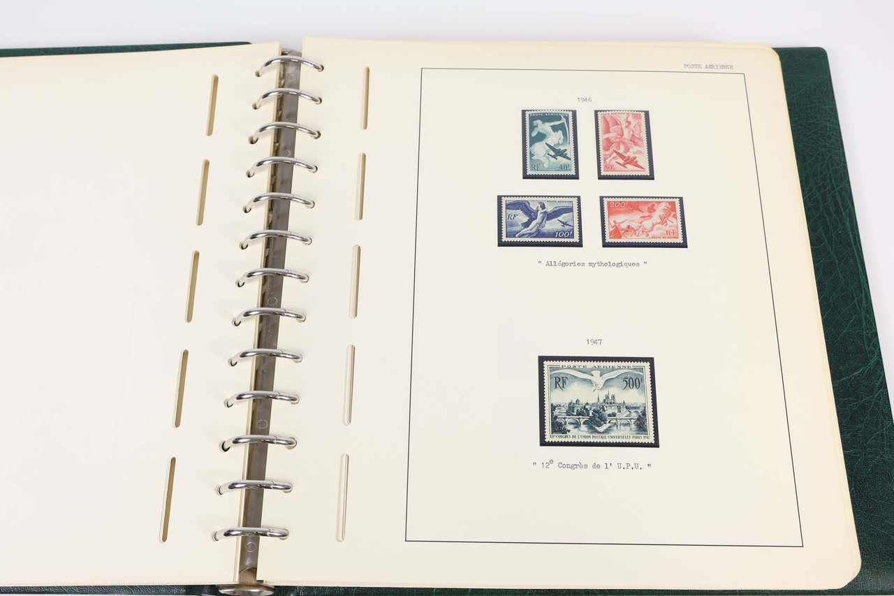 IMG 9185