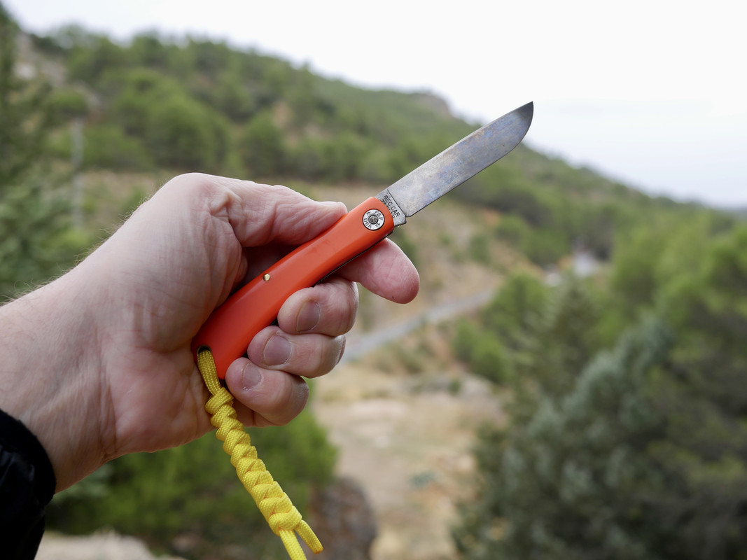 91BA8F23-5D47-48A5-BA4C-5285C446FCB7