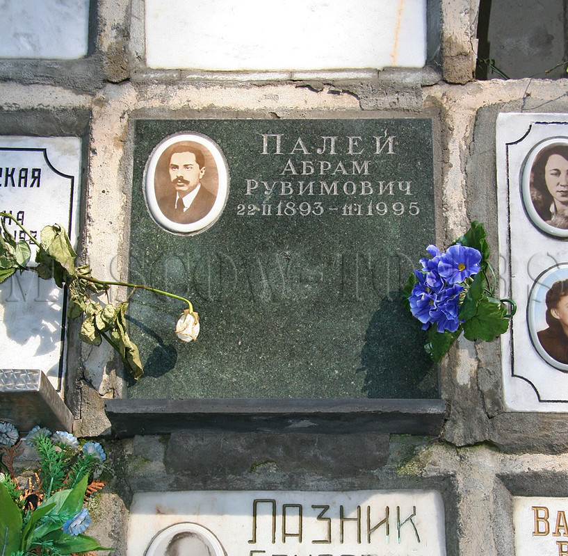 paley-ar