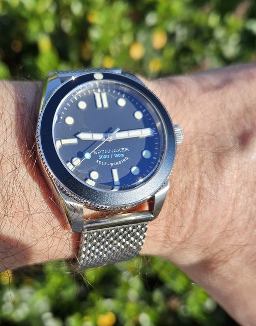 Spinnaker Watches - Page 12 20240512-091439