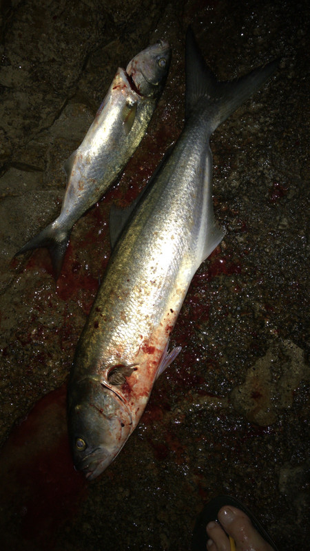 D90B15C7-51C0-49B7-8515-1924C633A99F