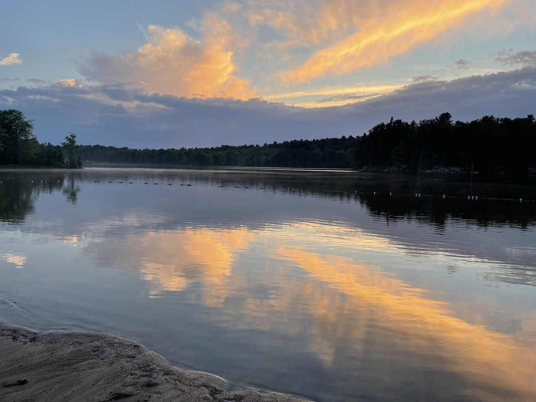 923BB7AF-3B25-4979-A2F1-B0A1C0BDE45E