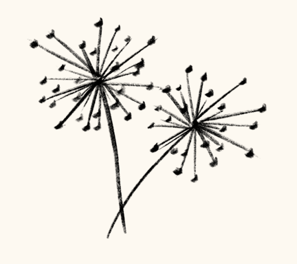 Ilustração de uma flor
