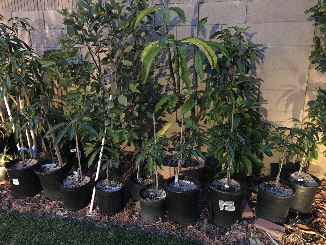 C736DEE5-CDD9-4F4A-926B-526868EF5CA0