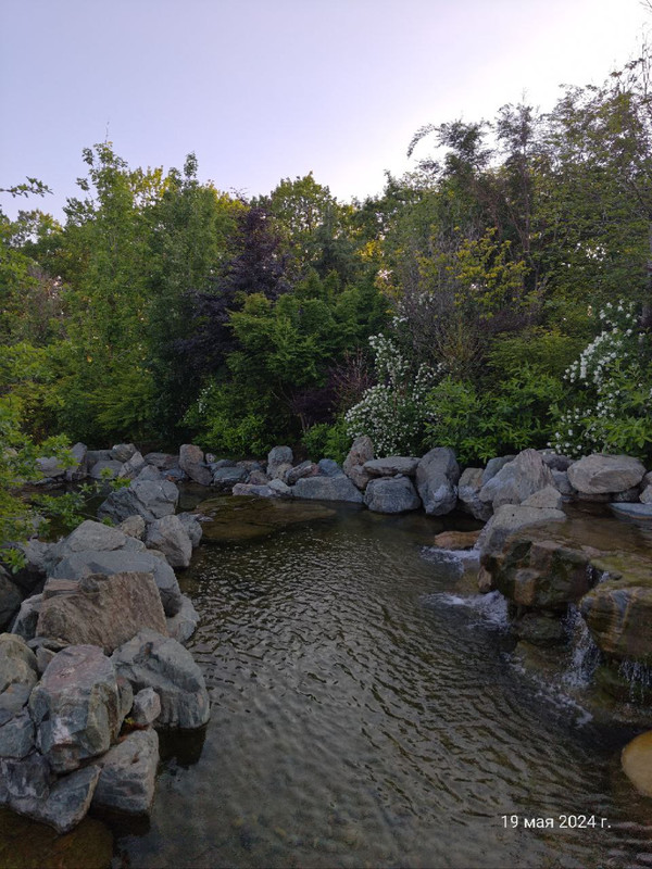 IMG_20240520_080612_328