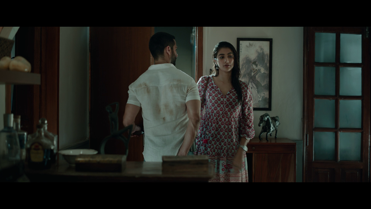 vlcsnap-2025-03-31-22h18m23s305