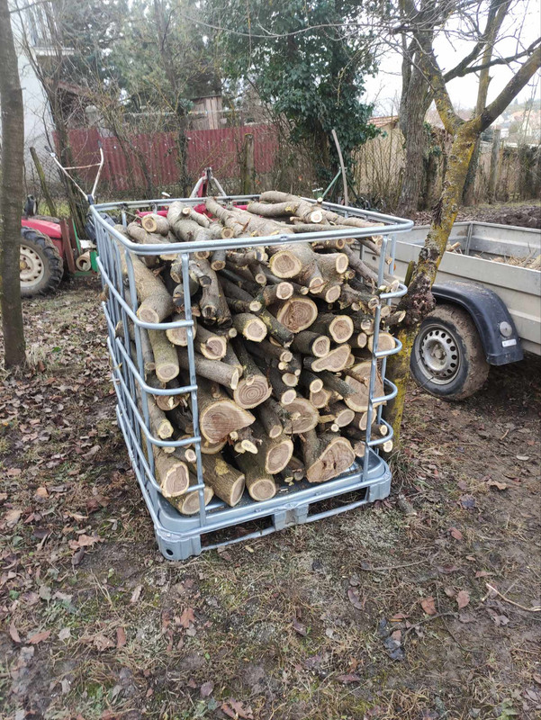 415275779_2033551800358140_2131366486114888619_n