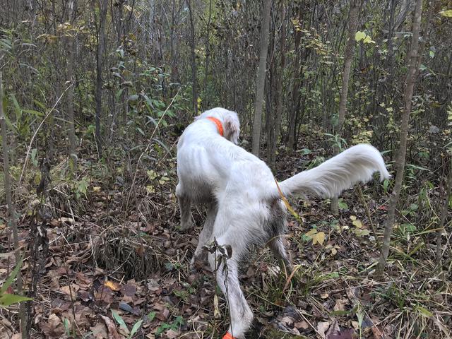 F1BE6C76-FEE3-47B7-B3FC-B3F91A2AB7F9