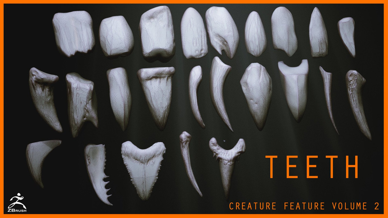 TEETH – Zbrush 24 Assorted Teeth IMM Brush *REPOST)