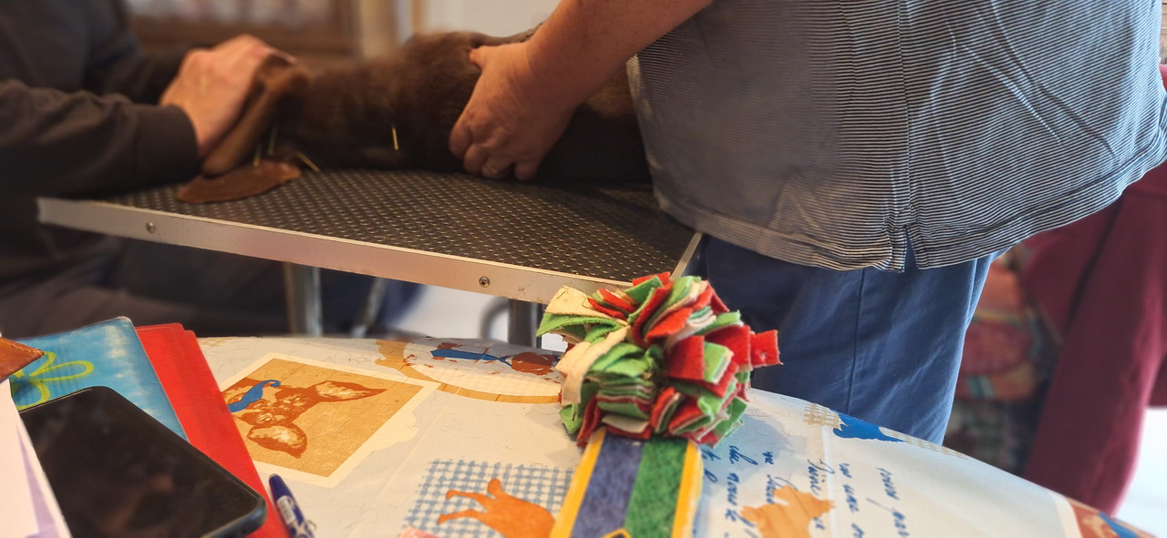 [Image: 20251002-175228.jpg]