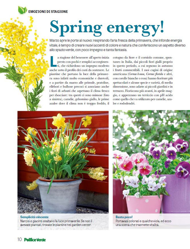 Pol Ver Mar 2025 (1)