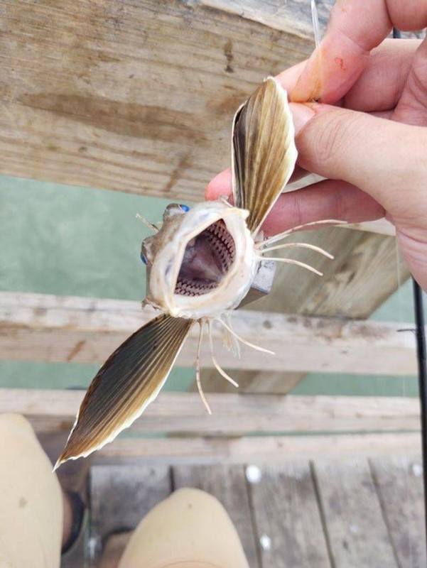 Awesome-10