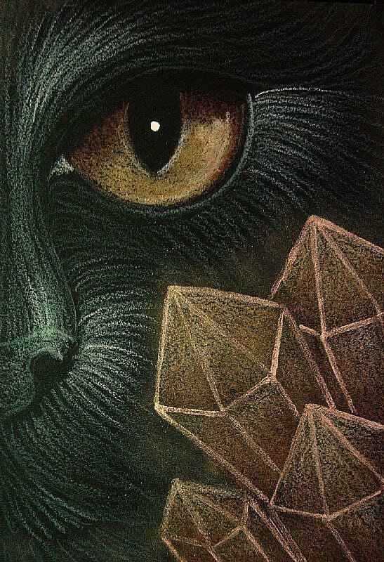 22-BLACK-CAT-WITH-HEALING-CITRINE-QUARTZ-CLUSTERjpg