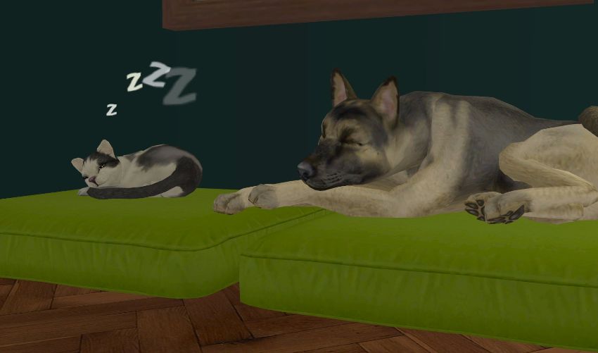 Sims2-EP9-2021-01-25-19-27-36-47