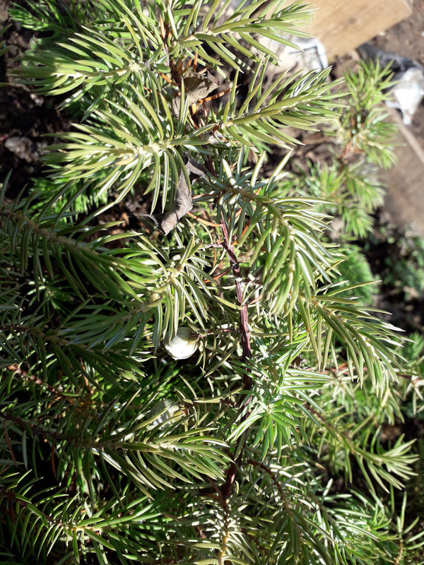 20190127_115155