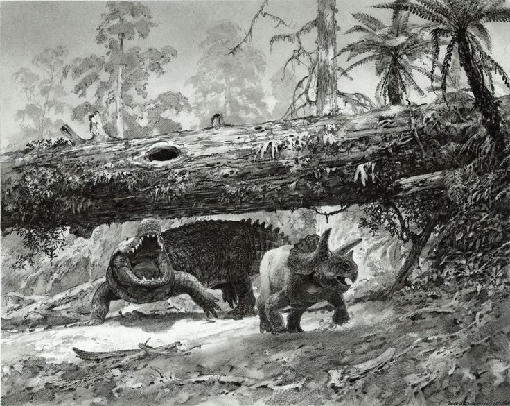 74e7a043f2383be0dd7201f761abfa2b (1)