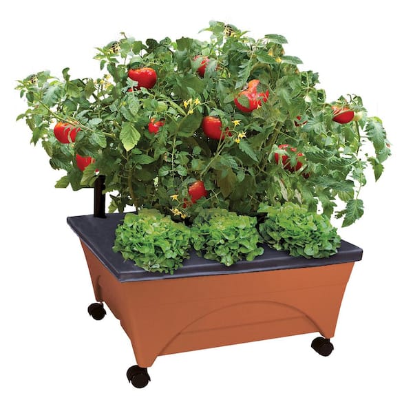 Save on Landscaping Supplies at Home Depot’s One-Day Sale