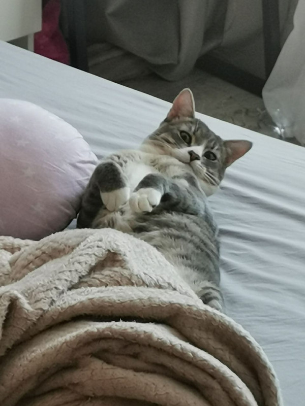 IMG 63c1c9d22013b0484cdfd619bd4582cf V