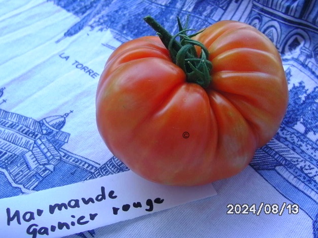 [Bild: BILD0329.jpg]