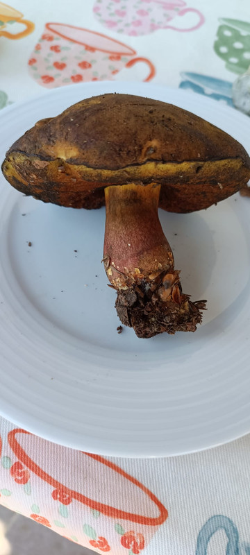 WhatsApp Image 2023-08-02 at 16.58.32 (1)