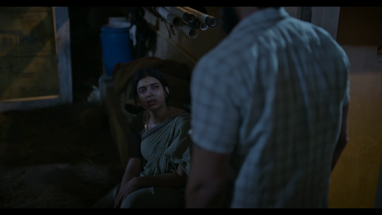 vlcsnap-2025-04-24-21h20m09s027