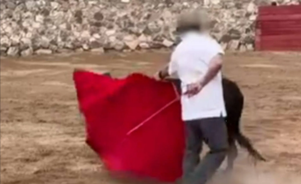 Video: Graban a sacerdote maltratando animales en Saltillo