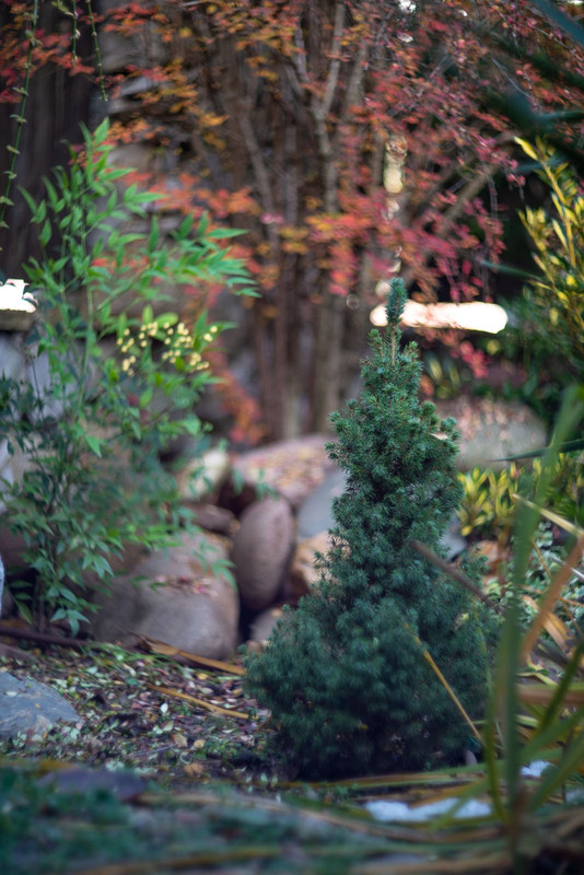 IMG-d77b5b02e14224faa2623aea00accce4-V