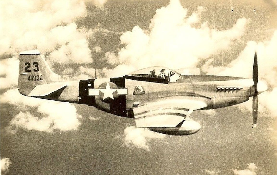 P-51 Fighter Plane (#411934)