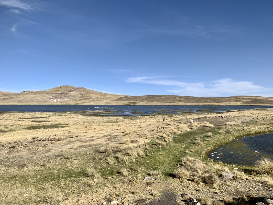 00EDD454-2C4C-4E25-93CE-14D38C3EE047