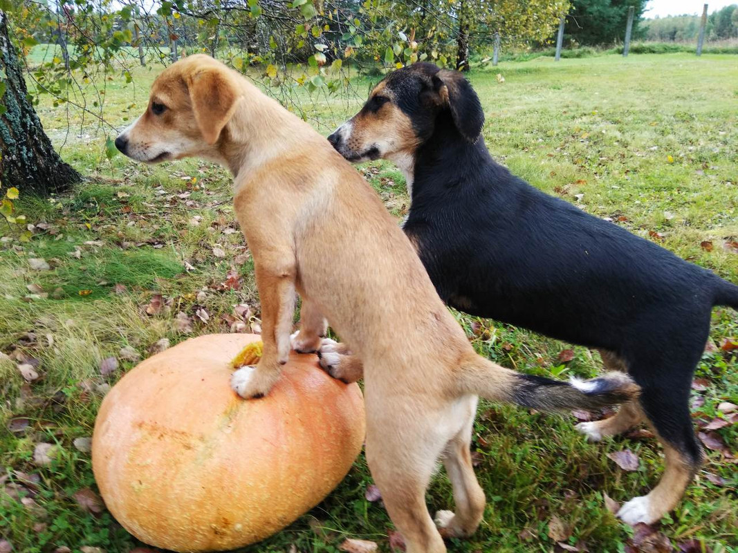 изображение_viber_2019-09-22_13-22-09