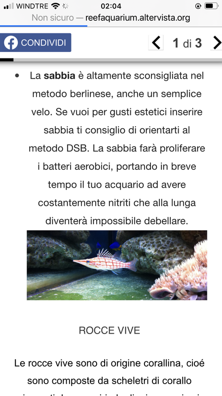 133E795D-FE1C-4F91-A718-E5DB356EDCB2