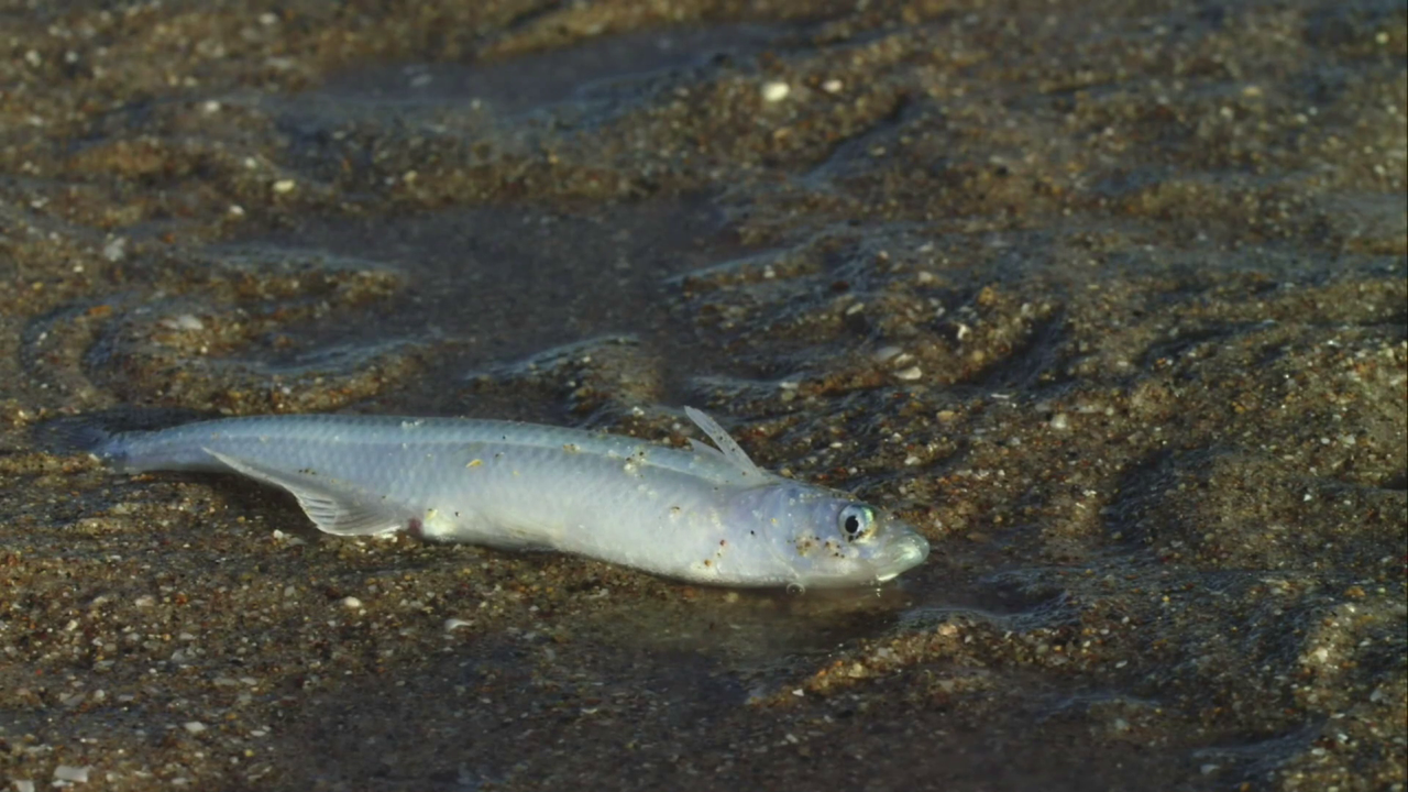 vlcsnap-2023-02-13-11h00m53s122