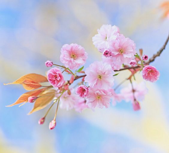 850f6e6dc2122b5de7a8788b6e74ec64