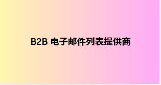B2B 电子邮件列表提供商