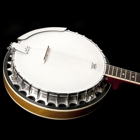 banjo 5 string
