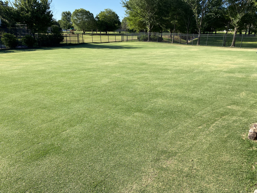 7ED67420-530D-4134-BEDF-E716C74F7314