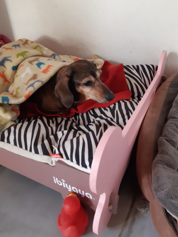 [Image: 20220307-153320.jpg]