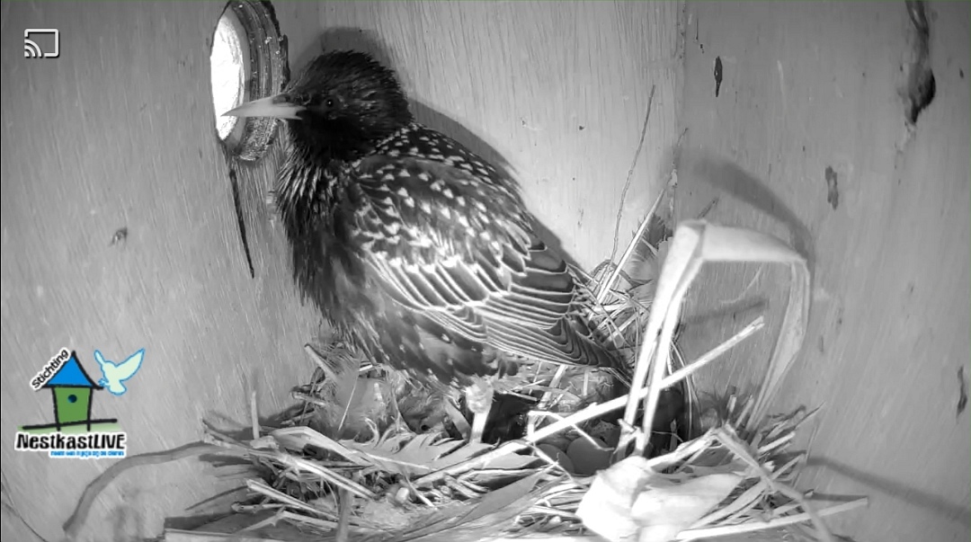 Screenshot 20260403 100318