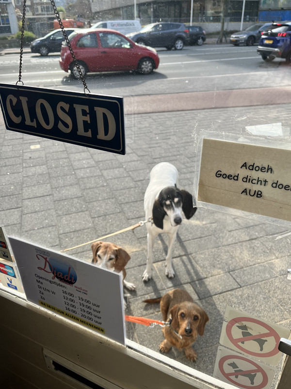 855D62A8-7C10-4316-A230-87BA67BF8D85