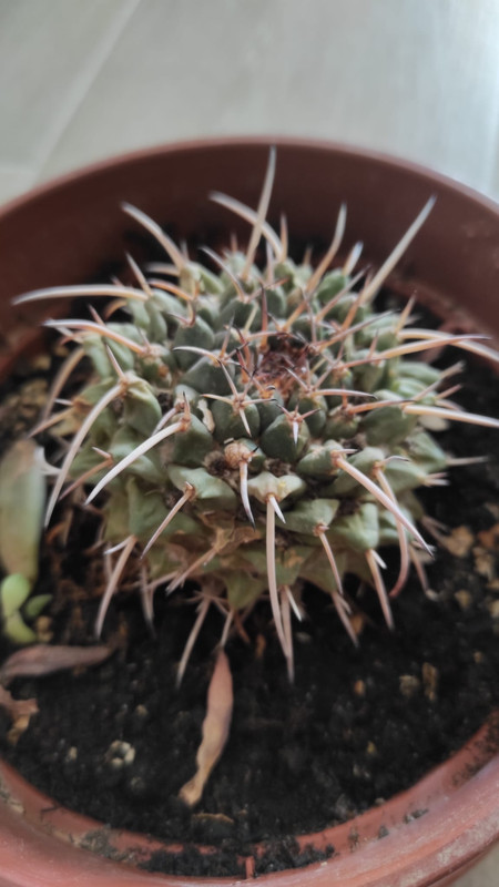 WhatsApp Image 2022-05-12 at 1.40.12 PM