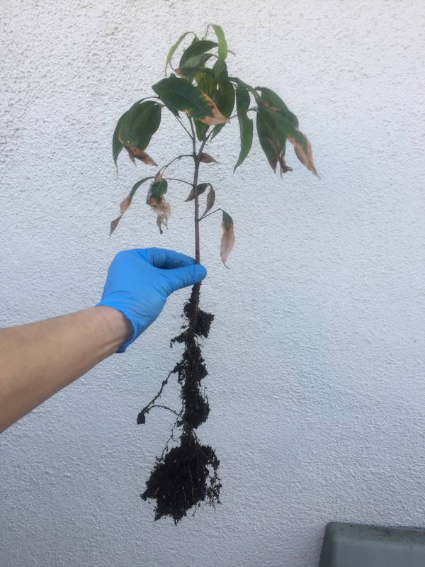 6071A0CE-0282-4453-A5EC-05EA2E393C0E