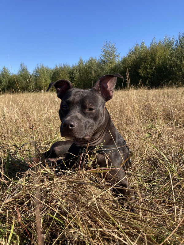 D0B59FC3-6941-46F8-9C9C-4CEA590E5579