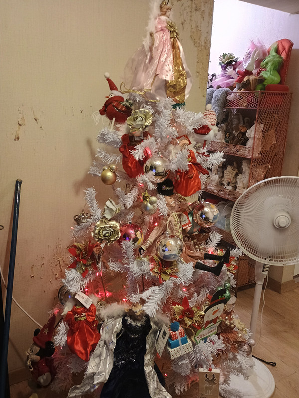 IMG_20241208_213152945_HDR