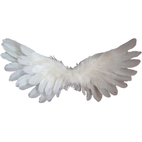 wings
