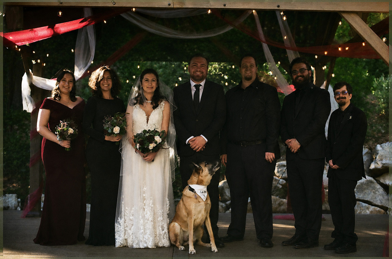 damaged wedding photographer photos v0 aoipv6pg452h1