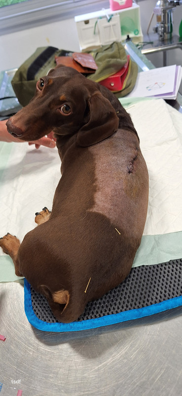 [Image: 20250819-185614.jpg]