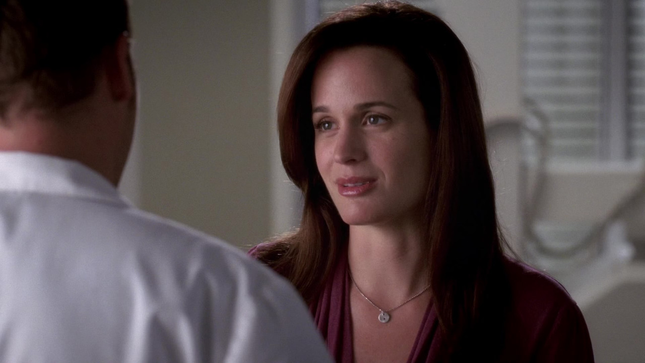 Download Grey's Anatomy (2005) Season 4 S04 (1080p BluRay x265 HEVC