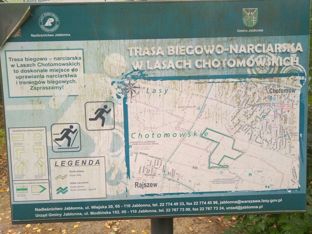 i-ca-a-trasa.jpg