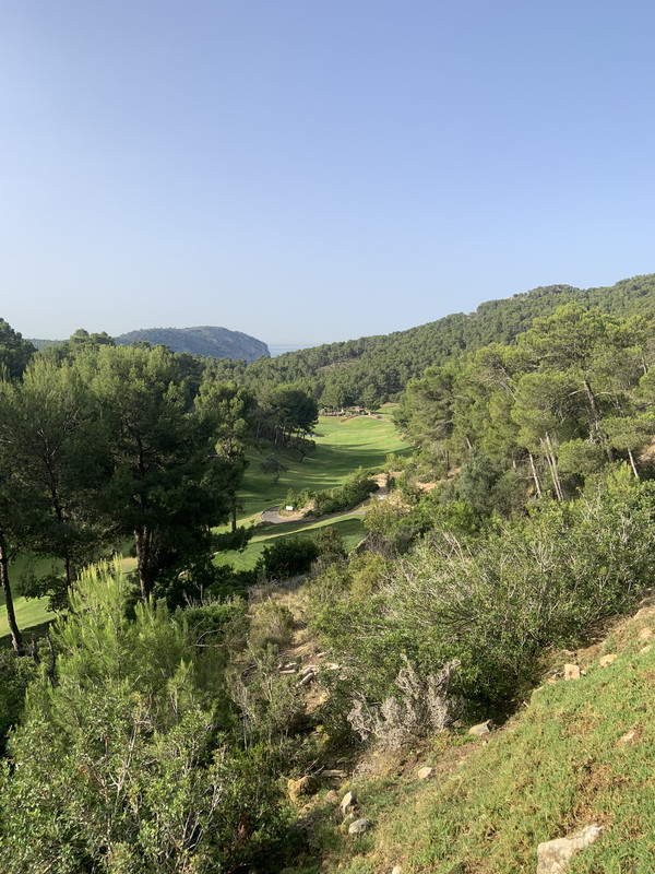 E8E1E088-F1DE-4554-B805-FFCDD22F1DA2