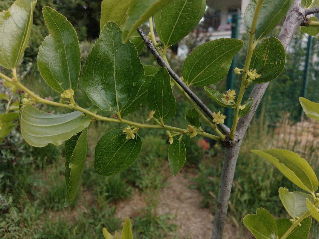 DSC_0294_resized_20190610_092530758